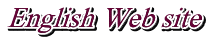 English Web site